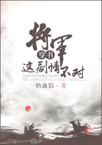 将军，这剧情不对封面